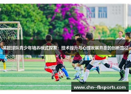 英超球队青少年培养模式探索：技术提升与心理发展并重的创新路径